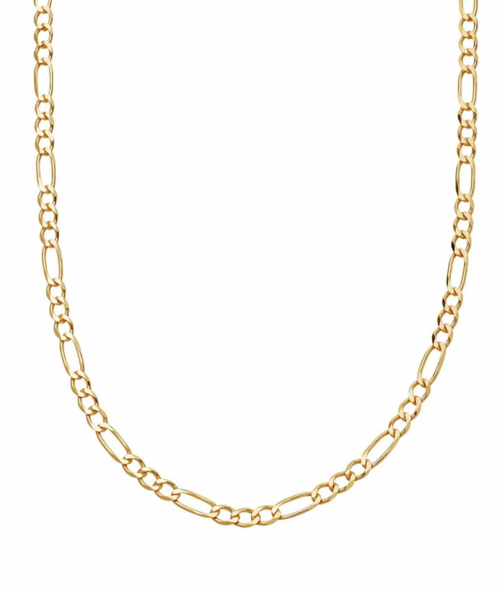 Daisy London Figaro Chain Necklace