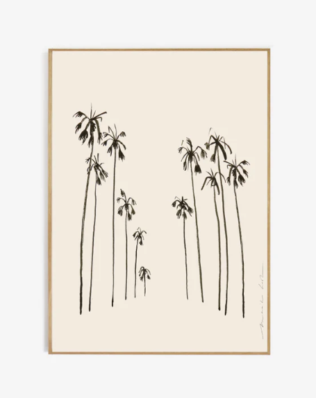 Palms Summer