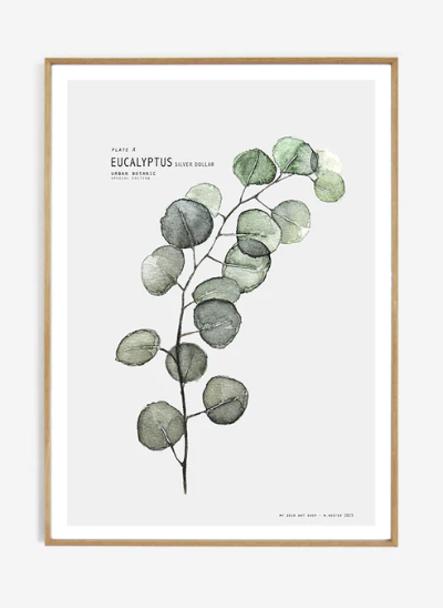 Eucalyptus Print and Frame