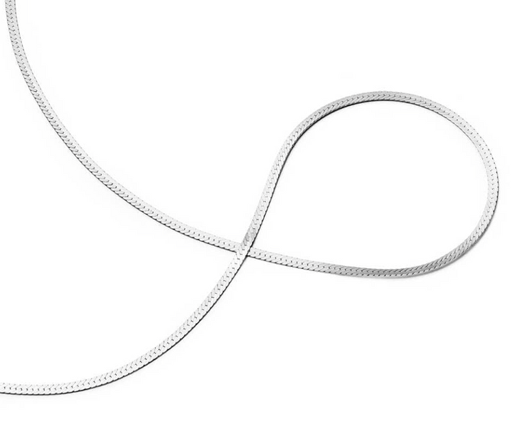 Daisy London Fine Snake Chain Necklace