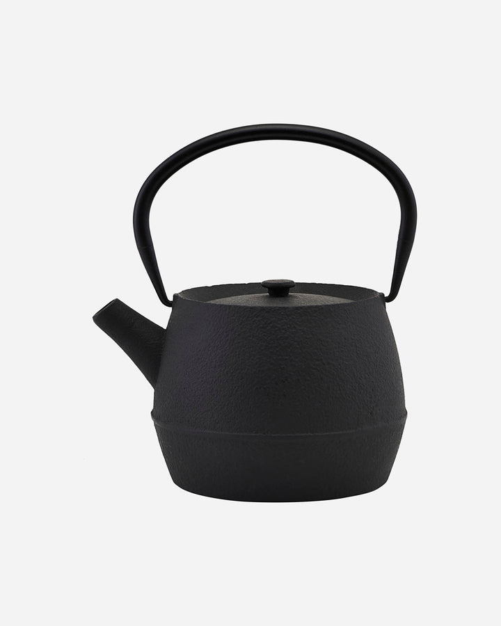 Cast Teapot