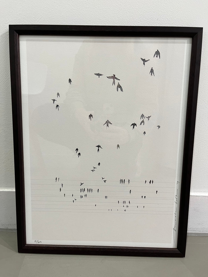 Swallow Print and Framed
