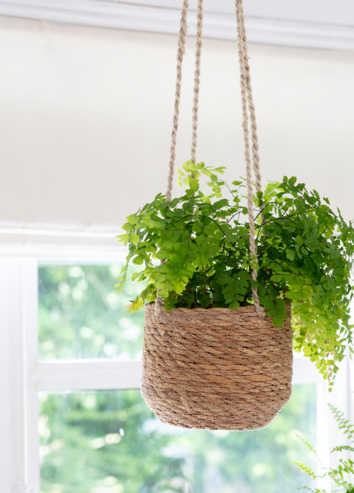 Hanging Basket