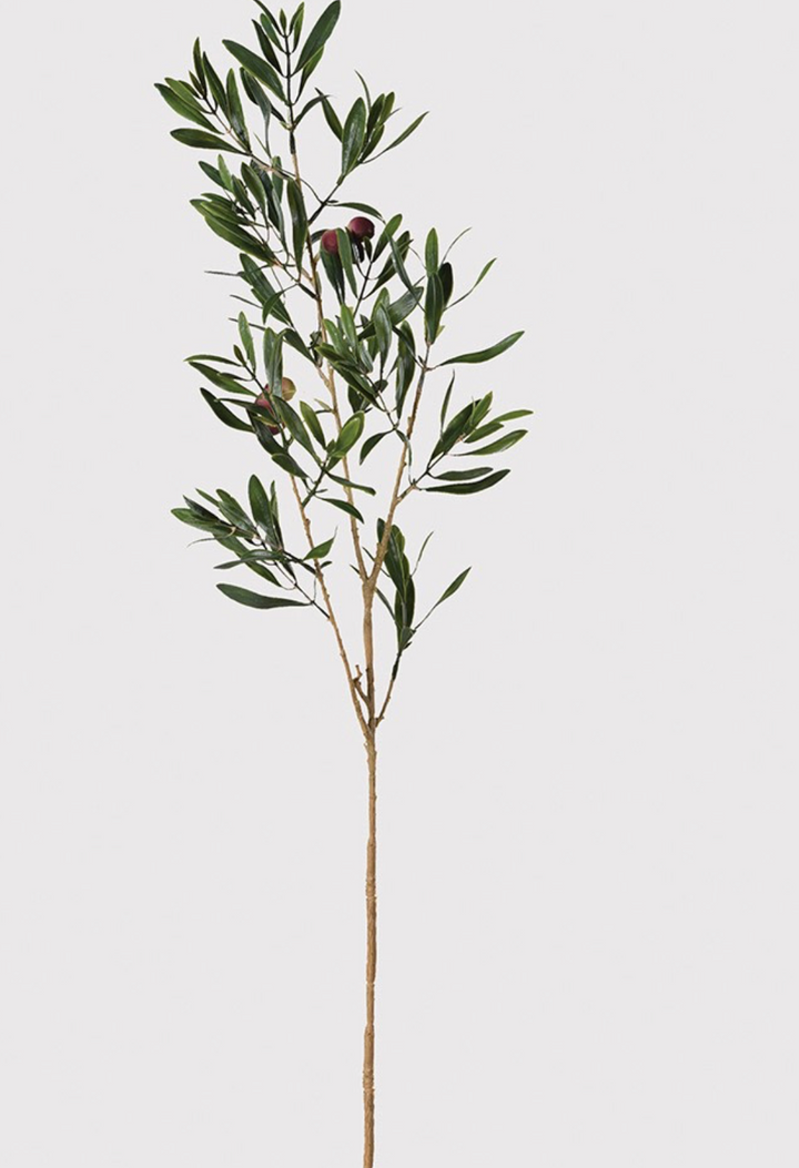 Olive Stem