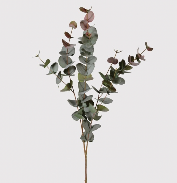 Large Natural Blush Eucalyptus Spray