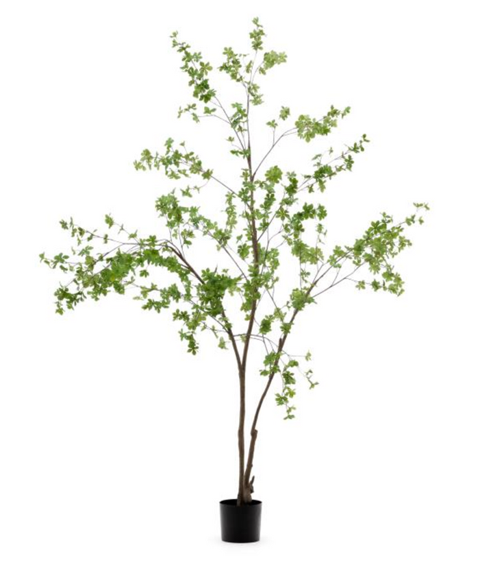 214cm Enkianthus Artificial Tree