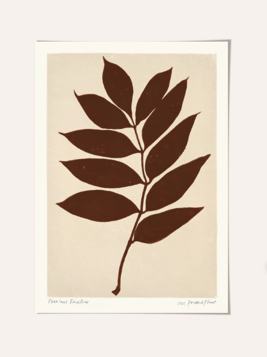 Printed Plant Print 30x40cm