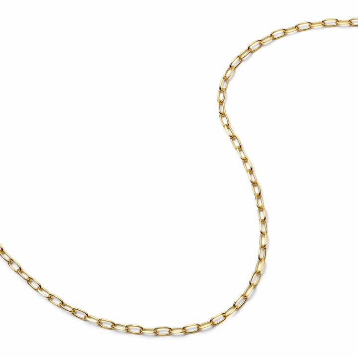 Daisy Light Paperclip Chain - Gold