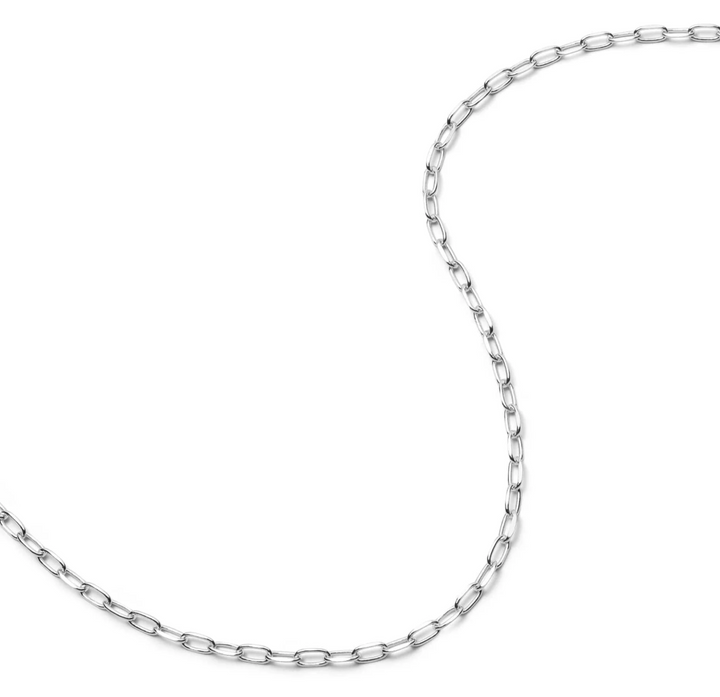 Daisy Light Paperclip Chain - Silver